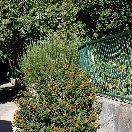 Pensionat And With Parking Space - 9128